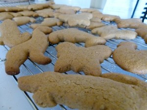 animal cookies
