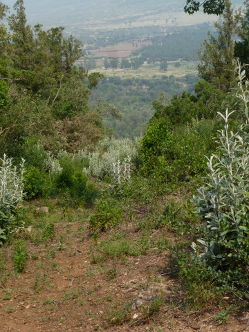 P1010494