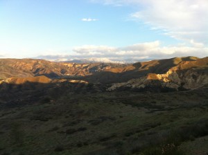 view from my walk this morning
