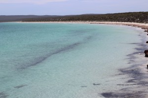 IMG_0819
