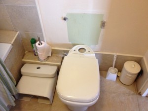 The steam filling the toilet melted the plastic innards, and destroyed many of the gaskets in our faucets. Yikes.
