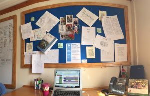 The awesome view in what will be Rich Davis' office...
