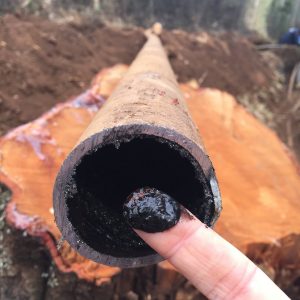 On the Rift Valley Academy Water Project we're replacing 100% of their old potable water piping, some lines of which are as old as the school (100+ years). I took a quick finger swab of the inside of one of the old mains we've just disconnected, and it's not hard to see why this project is so desperately needed! Yes, this WAS a pipe carrying drinking water until 24 hours ago :)