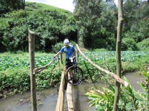 Stream crossing in the tea fields of Limuru